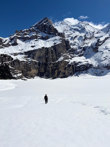 Picture 37 for Activity Kandersteg: Oeschinensee Panorama Hike with a Swiss Athlete 4