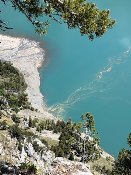 Picture 44 for Activity Kandersteg: Oeschinensee Panorama Hike with a Swiss Athlete 2