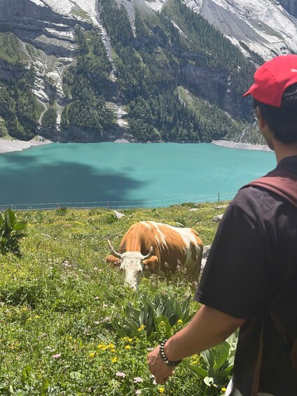 Picture 38 for Activity Kandersteg: Oeschinensee Panorama Hike with a Swiss Athlete 2