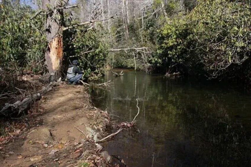 Half-Day Guided Fly Fishing for 3 Anglers 3