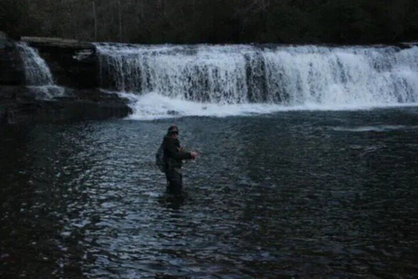 Half-Day Fly Fishing Adventure for One 4