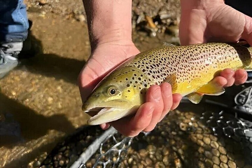 Backcountry Trip for 2 Person 5