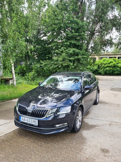 A black sedan parked on a concrete driveway surrounded by lush greenery and trees. 4