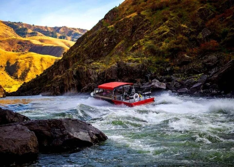 White Bird: Hells Canyon Jet Boat Tour with Lunch 1