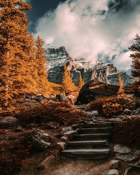 A mountain trail with a stone staircase leading up, surrounded by coniferous trees and a snow-capped peak in the background. 3