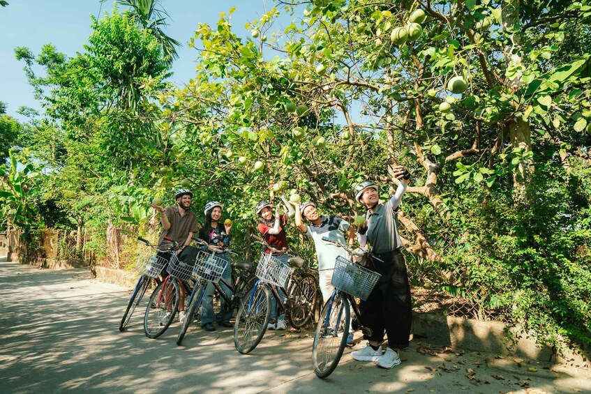 A group of people on bicycles with baskets, standing by a tree with green fruit. 3