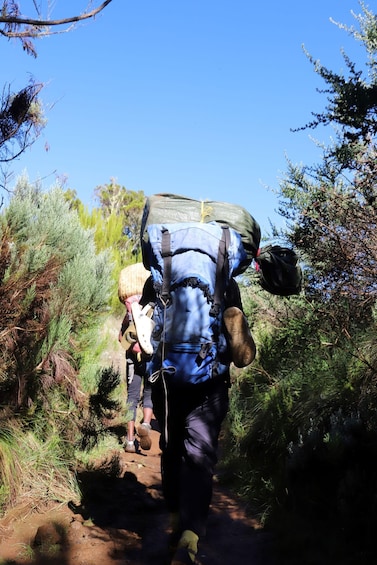 A hiker with a large backpack walking on a dirt path surrounded by greenery. 4