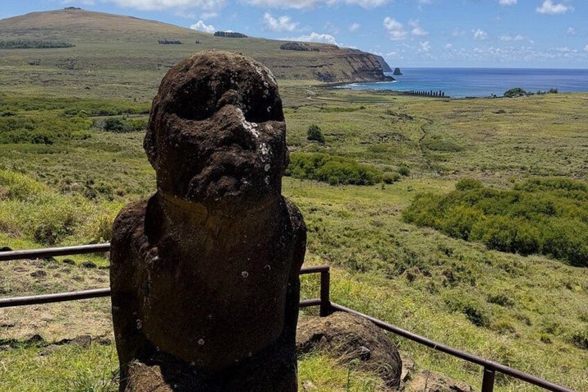 A Moai statue on a grassy hill with a coastal view. 1