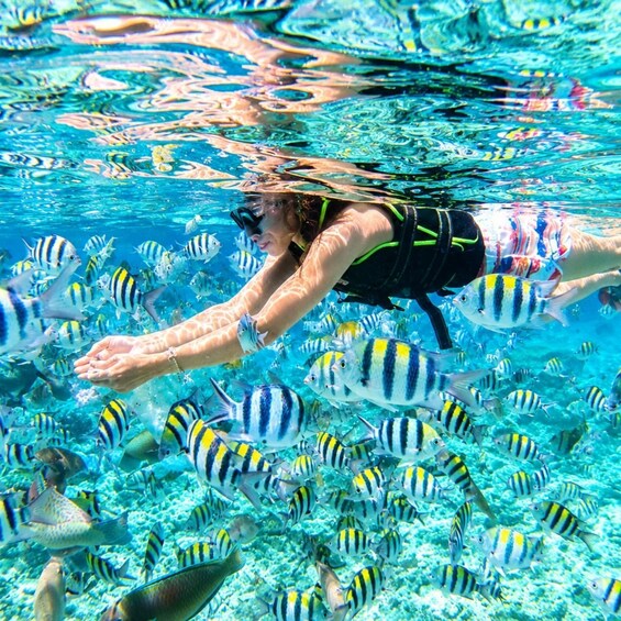 A person snorkeling underwater surrounded by striped fish. 2
