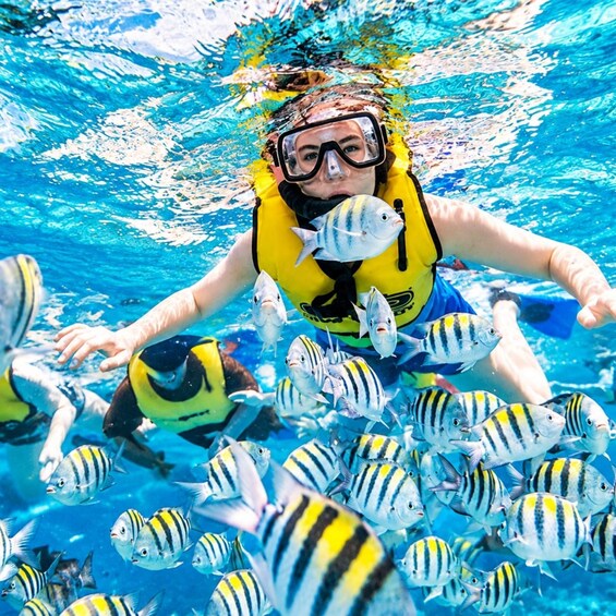 A person snorkeling underwater surrounded by striped fish. 3
