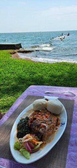 A plate of food with a view of the ocean. 5