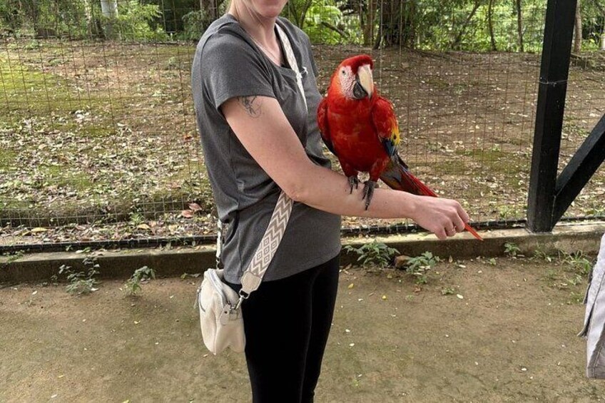 Roatan Island Tour plus Beach Break 4