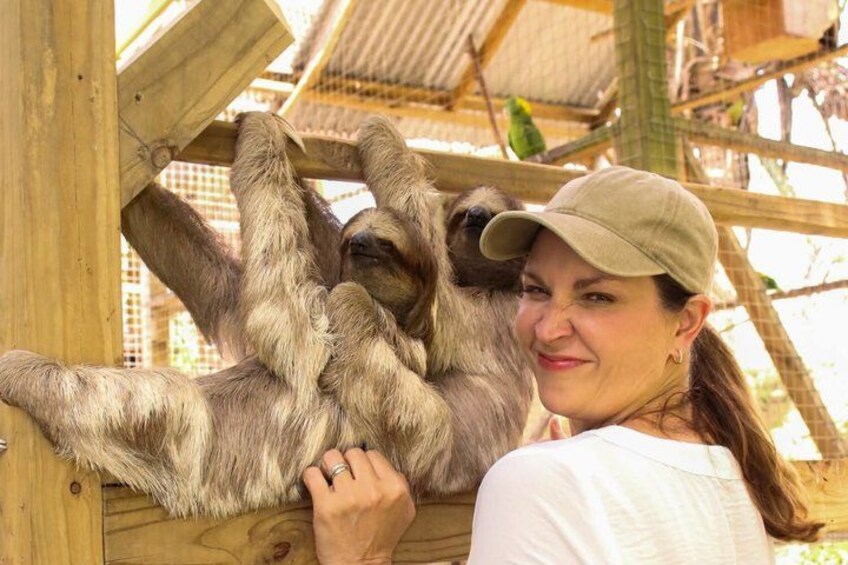 Roatan Sloth Monkeys Macaws,Chocolate Factory and Optional Rum Fa 3