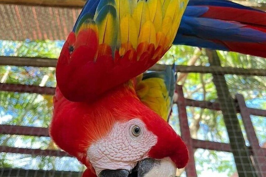 Roatan Island Tour plus Beach Break 3