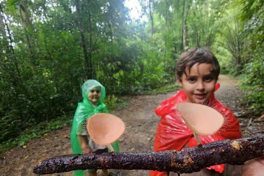 Twee kinderen in regenjassen die een tak met een paddenstoel vasthouden. 4