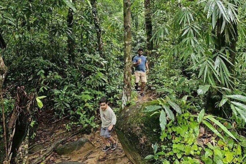 Twee mensen wandelen door een dicht bos met gevarieerde groene begroeiing en een grote omgevallen boomstam. 2