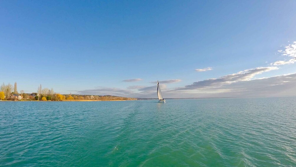 A sailboat on a calm sea with a clear sky and a shoreline with trees and buildings. 4