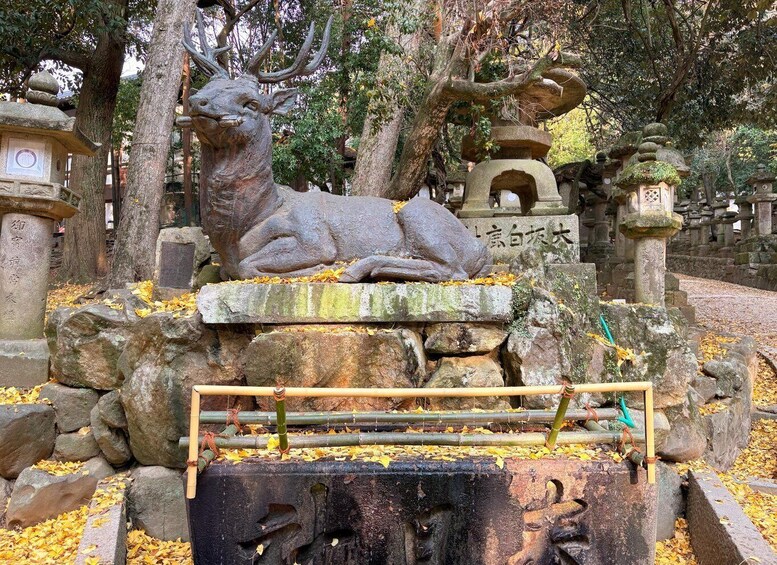 A stone deer statue in a garden with stone lanterns and a stone path. 3