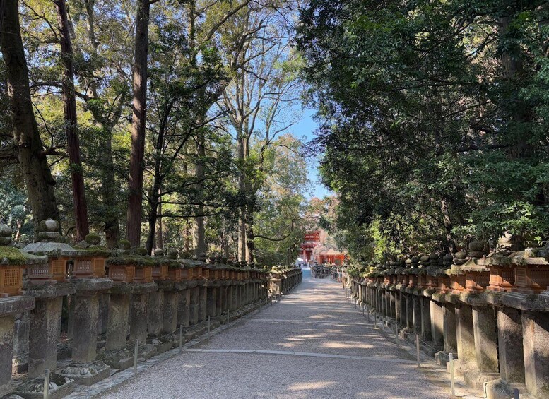 A pathway flanked by stone lanterns and trees leading to a traditional building. 4