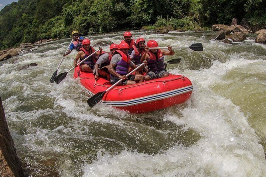 Waterfall Abseiling & White-Water Rafting Adventure from Kandy 4
