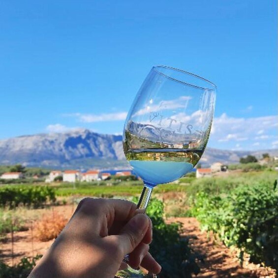 A hand holding a wine glass with a vineyard and mountains in the background. 3