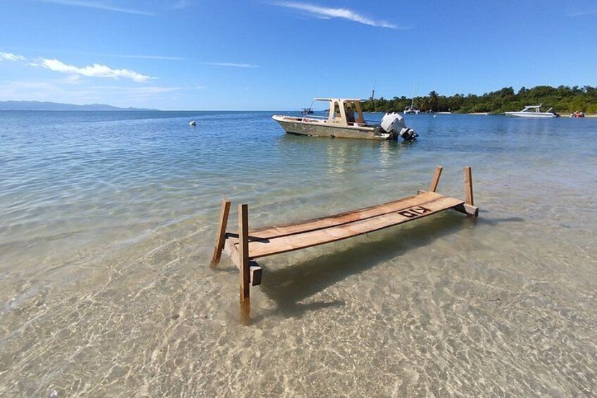 Mangrove Boat Tour Small Group Guadeloupe 1