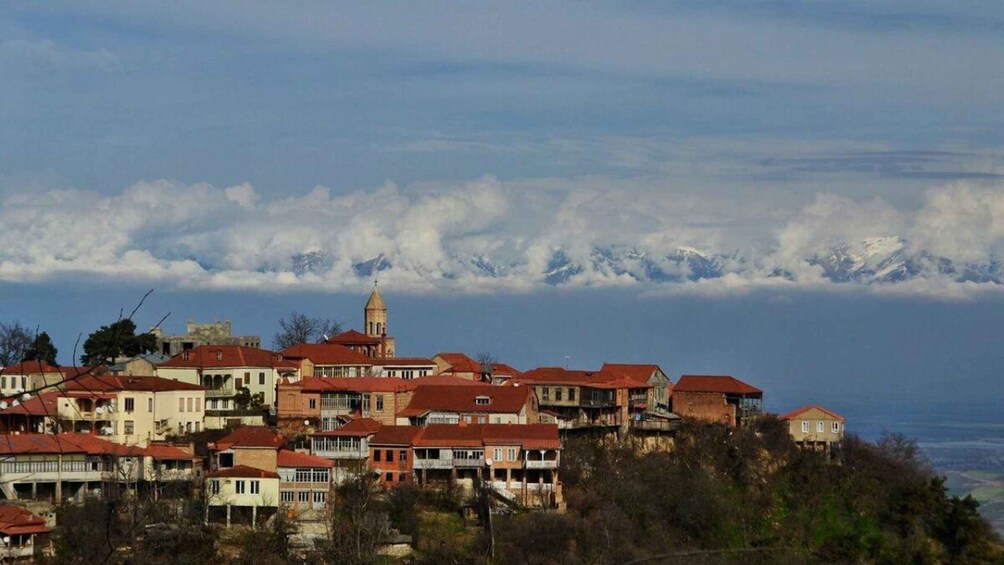 A town with red-roofed buildings and a prominent church with a bell tower, set against a backdrop of snow-capped mountains. 3