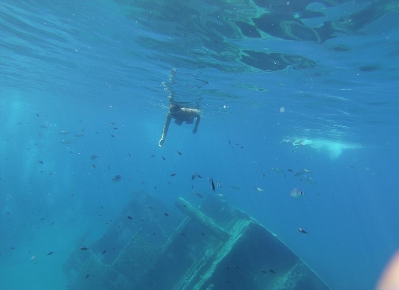 A diver swimming underwater with a large shipwreck and fish. 1