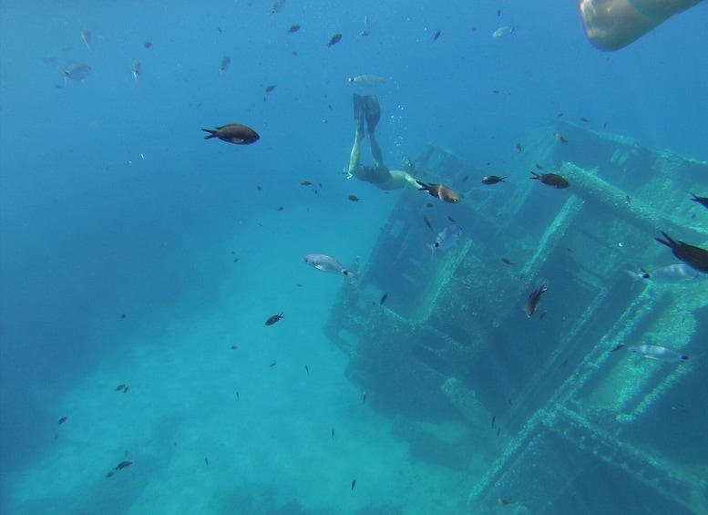 An underwater scene with a shipwreck and various fish swimming around it. 2