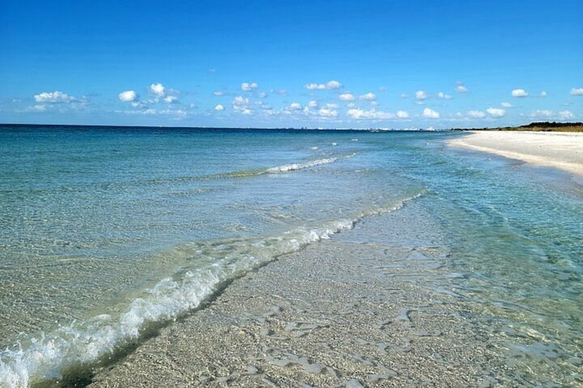 3 Hour Dolphin Snorkeling and Shell Key Adventure St. Pete Beach 1