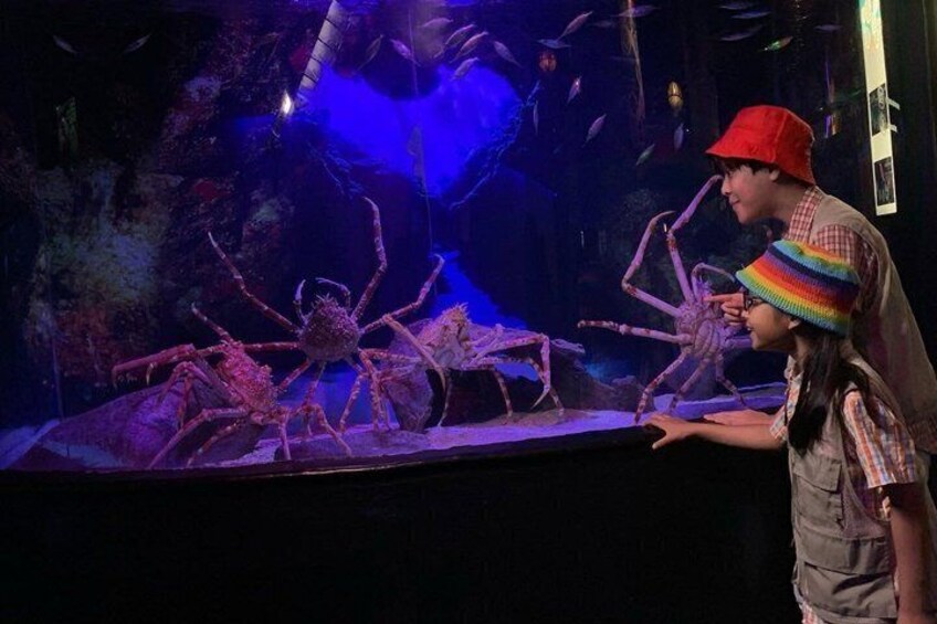 Aquaria KLCC Entry Ticket 5
