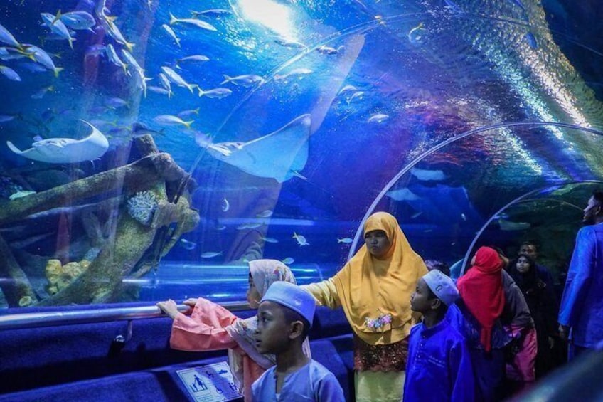 Aquaria KLCC Entry Ticket 4