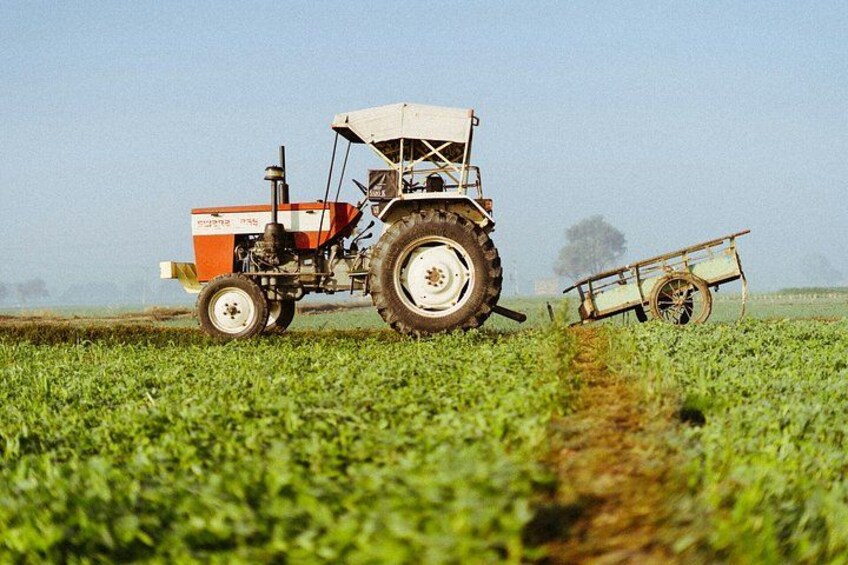 A tractor in a field with a plow attached. 1