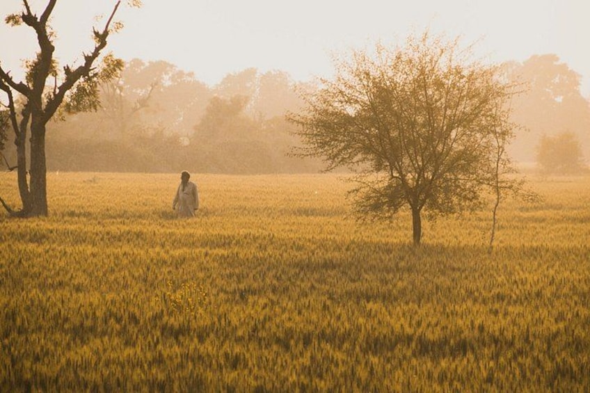 A person sitting on the ground in a field with trees. 2