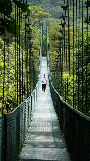 A person walking on a suspension bridge surrounded by dense forest. 4