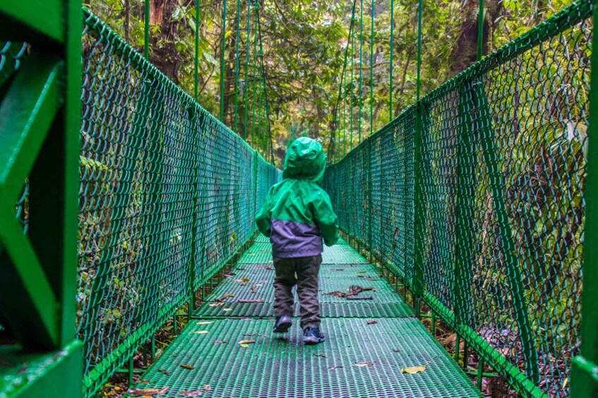 A person walking on a green suspension bridge surrounded by trees. 2