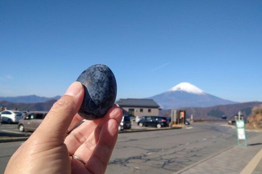 Mount Fuji, Hakone, Owakudani, Chureito Pagoda and Oshino Hakkai 2