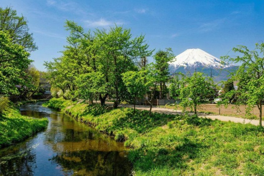 Mount Fuji, Hakone, Owakudani, Chureito Pagoda and Oshino Hakkai 4