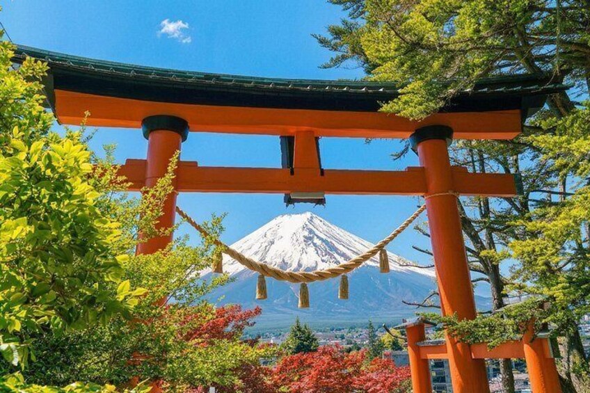 Mount Fuji, Hakone, Owakudani, Chureito Pagoda and Oshino Hakkai 3