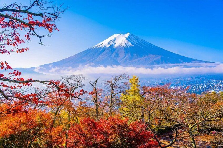 Mount Fuji, Hakone, Owakudani, Chureito Pagoda and Oshino Hakkai 4