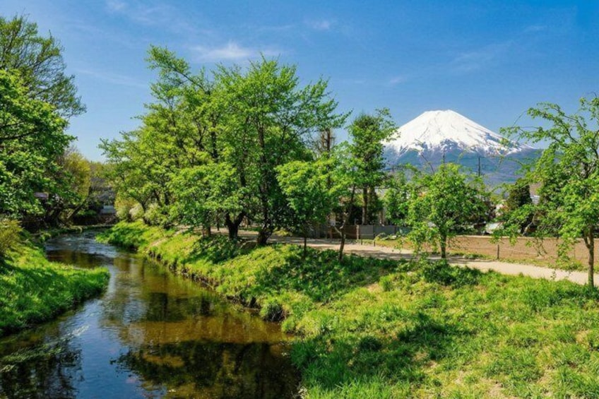 Mount Fuji, Hakone, Owakudani, Chureito Pagoda and Oshino Hakkai 3