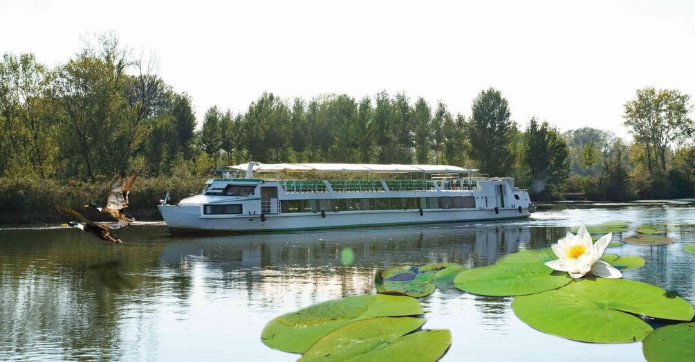 A riverboat with a white and green exterior, surrounded by a forest and lily pads. 1