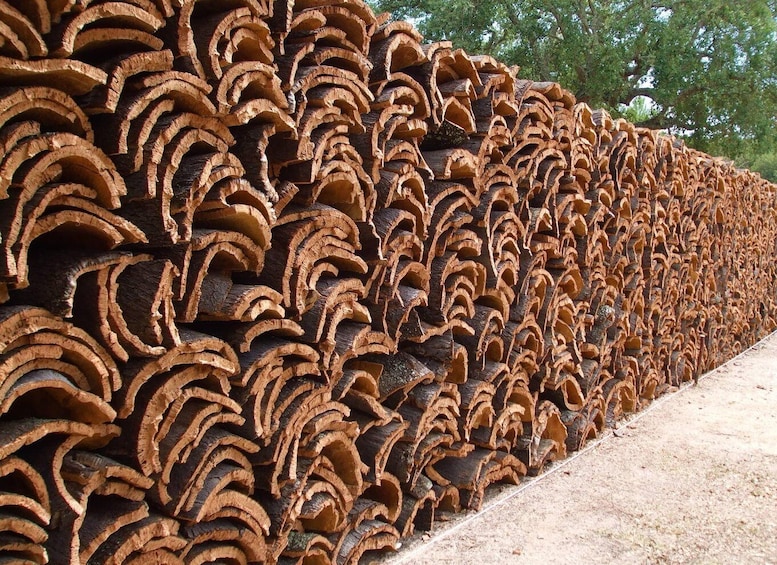 A large stack of wooden beams. 1