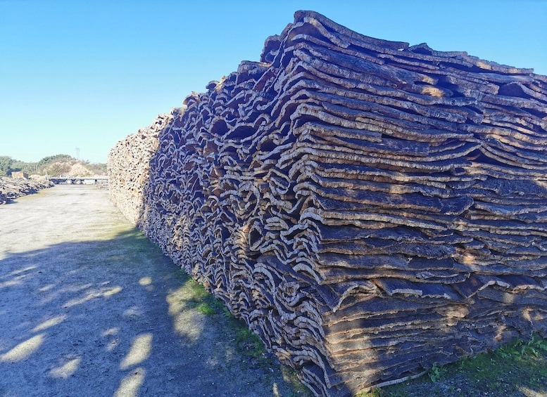 A large stack of logs in a gravel area. 4