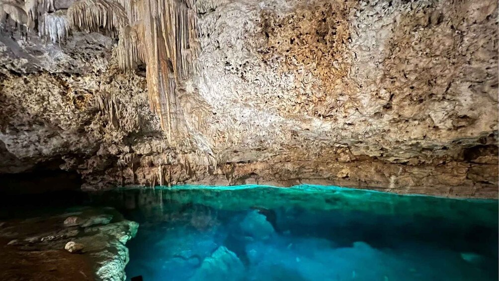 A cave with stalactites and a clear pool of water. 3