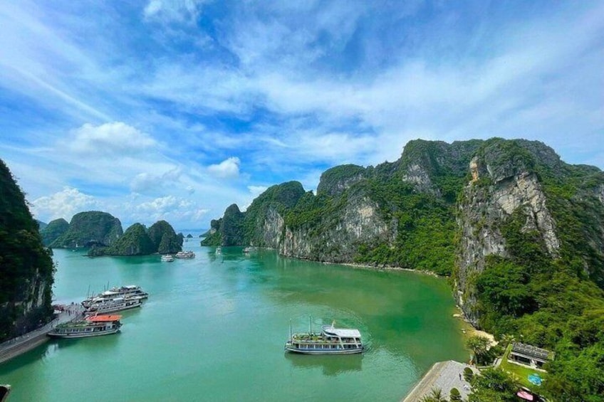 5-Star Otis Premium Ha Long Bay Day Cruise with Tasty Lunch 3