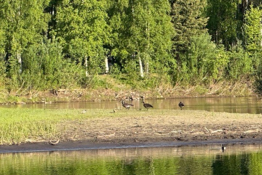 Chena River Jet Boat and Float 2