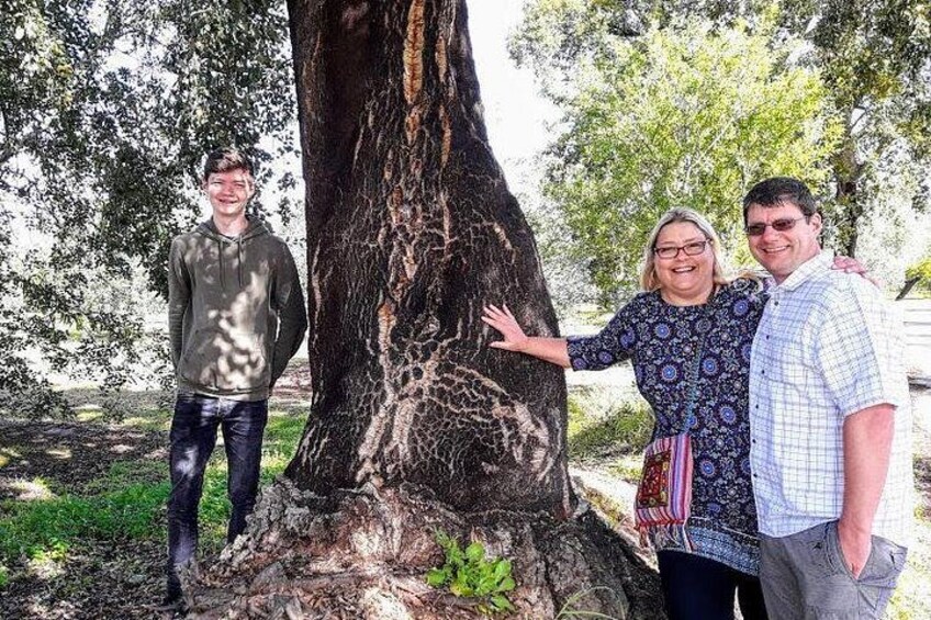 Trois personnes se tiennent à côté d’un grand arbre à l’écorce épaisse. 4