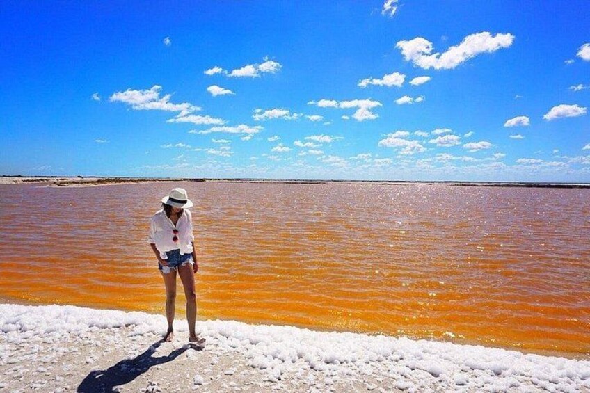 Rio Lagartos and Las Coloradas - Flamingo and Crocodile Safari plus 4