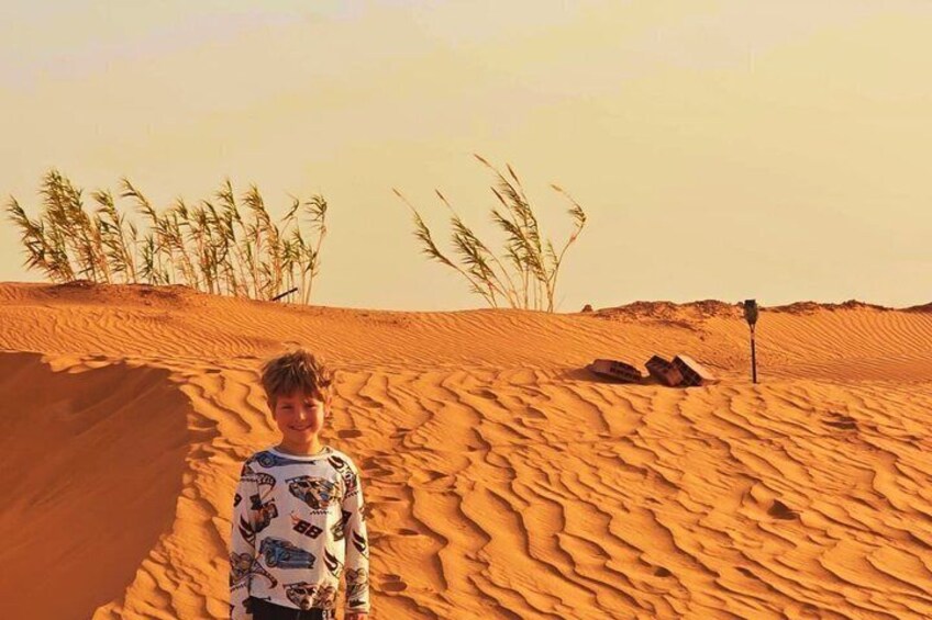 A person standing in a desert with sand dunes and sparse vegetation. 3